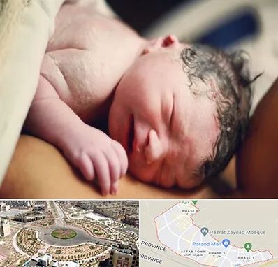 زایمان فیزیولوژیک در پرند