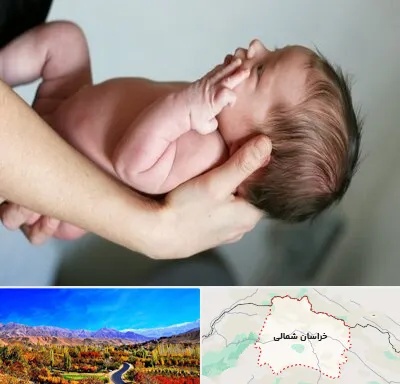 درمان نازایی در خراسان شمالی