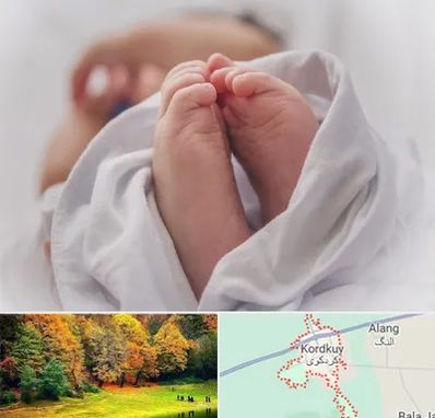 فوق تخصص تعیین جنسیت در کردکوی