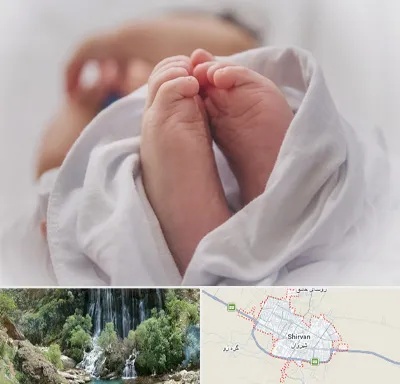 فوق تخصص تعیین جنسیت در شیروان