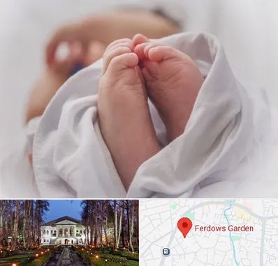 فوق تخصص تعیین جنسیت در باغ فردوس