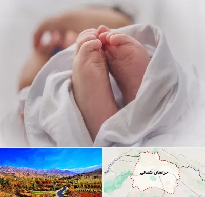 فوق تخصص تعیین جنسیت در خراسان شمالی