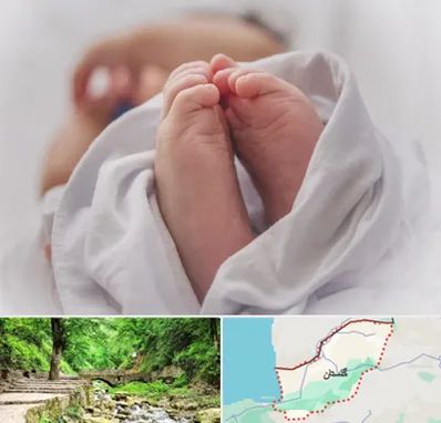 فوق تخصص تعیین جنسیت در گلستان