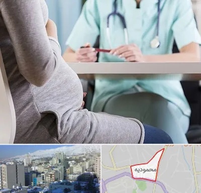 تست غربالگری در محمودیه
