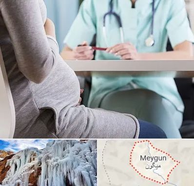 تست غربالگری در میگون