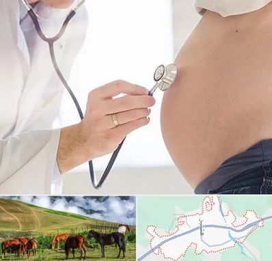 آزمایش غربالگری در تالش