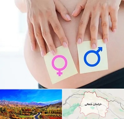 کلینیک تعیین جنسیت در خراسان شمالی