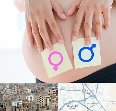 کلینیک تعیین جنسیت در جنوب شرق تهران