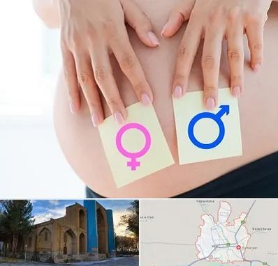 کلینیک تعیین جنسیت در اهر