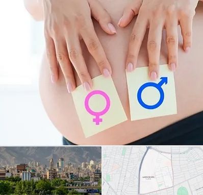 کلینیک تعیین جنسیت در جمشیدیه