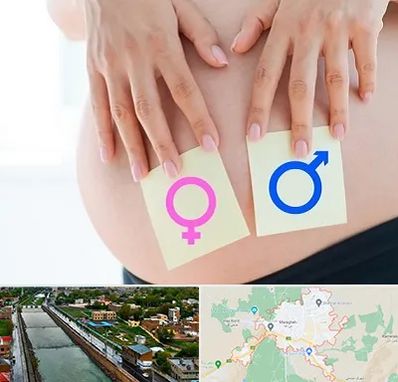 کلینیک تعیین جنسیت در مراغه