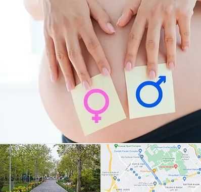 کلینیک تعیین جنسیت در قدوسی غربی شیراز