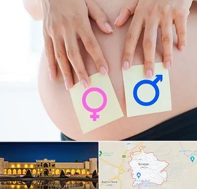 کلینیک تعیین جنسیت در برازجان