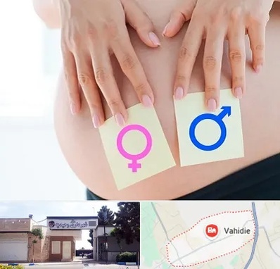 کلینیک تعیین جنسیت در وحیدیه شهریار