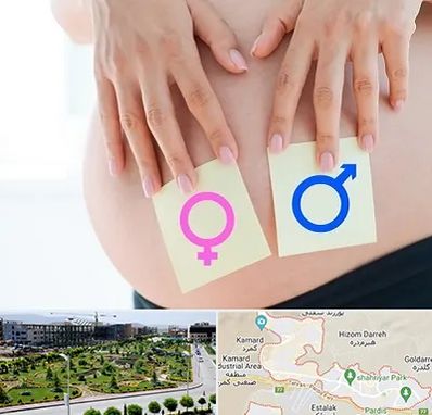 کلینیک تعیین جنسیت در پردیس