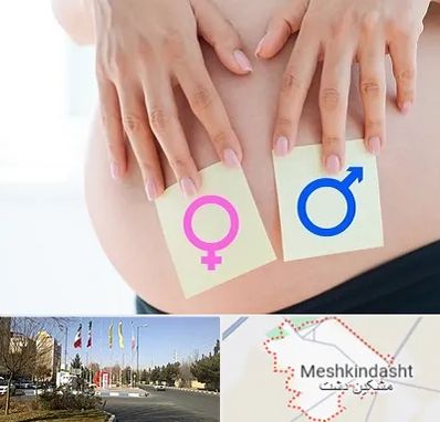 کلینیک تعیین جنسیت در مشکین دشت