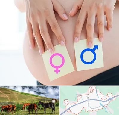 کلینیک تعیین جنسیت در تالش