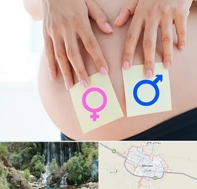 کلینیک تعیین جنسیت در شیروان