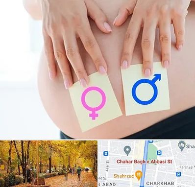 کلینیک تعیین جنسیت در چهارباغ اصفهان