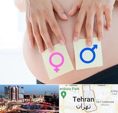 کلینیک تعیین جنسیت در صادقیه 