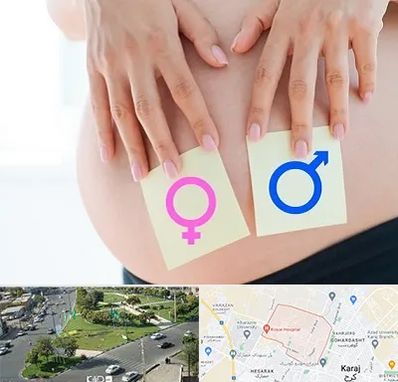 کلینیک تعیین جنسیت در شاهین ویلا کرج