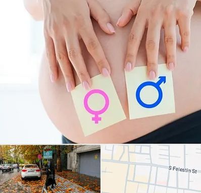 کلینیک تعیین جنسیت در خیابان فلسطین
