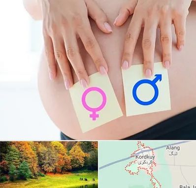کلینیک تعیین جنسیت در کردکوی