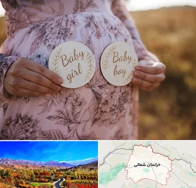 دکتر زنان تعیین جنسیت در خراسان شمالی