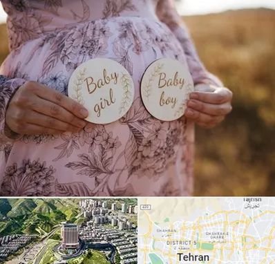 دکتر زنان تعیین جنسیت در شمال تهران 