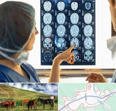 رادیولوژی در تالش