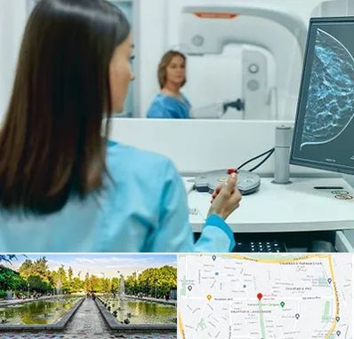 ماموگرافی در سرسبز