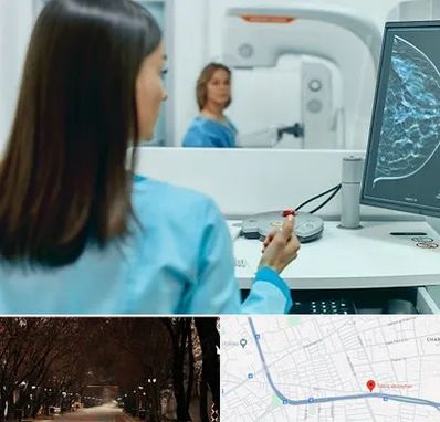 ماموگرافی در ابوریحان تبریز