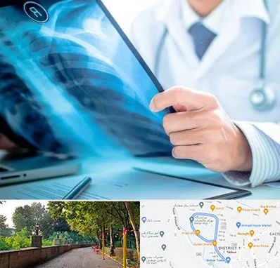 رادیولوژیست در بلوار گیلان رشت