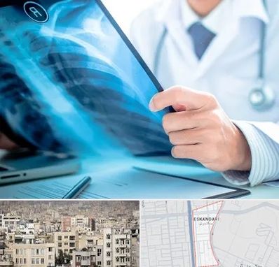 رادیولوژیست در اسکندری