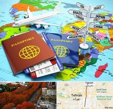 موسسه مهاجرتی در ولیعصر 