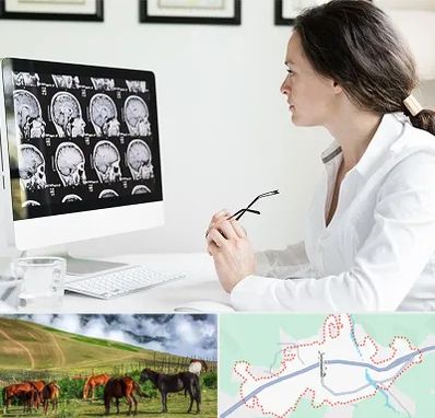 رادیولوژیست خانم در تالش