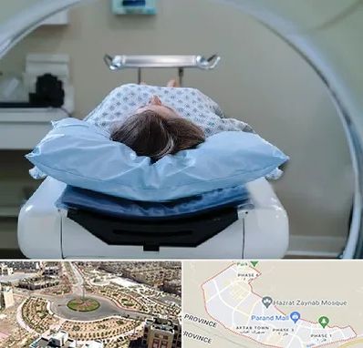 رادیولوژی فک و صورت در پرند