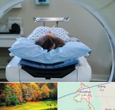 رادیولوژی فک و صورت در کردکوی