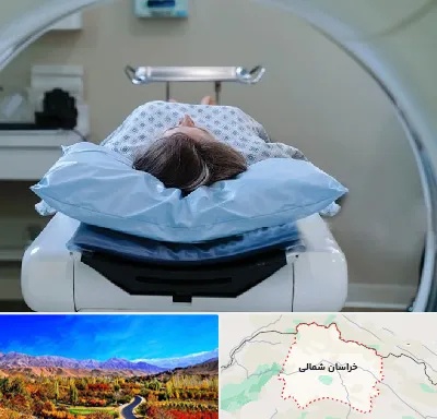 رادیولوژی فک و صورت در خراسان شمالی