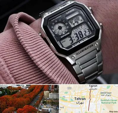 فروشگاه ساعت کاسیو در ولیعصر 