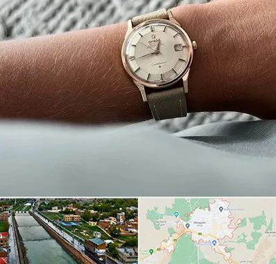 فروشگاه ساعت اومگا در مراغه