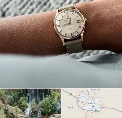 فروشگاه ساعت اومگا در شیروان