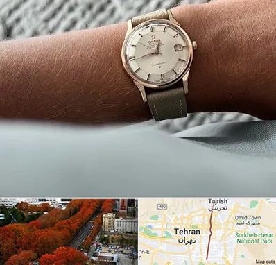 فروشگاه ساعت اومگا در ولیعصر 