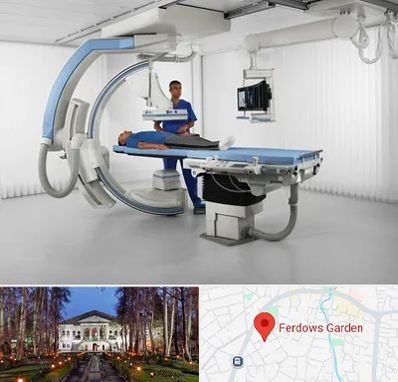 فلوروسکوپی در باغ فردوس