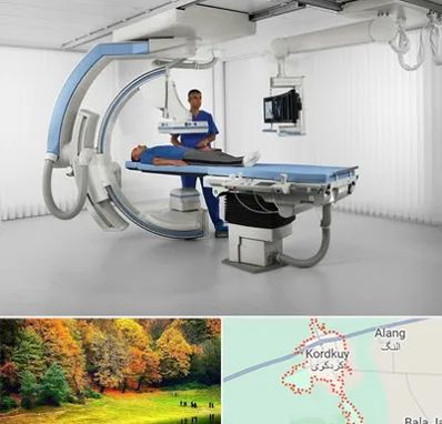 فلوروسکوپی در کردکوی