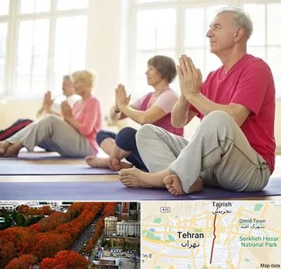 کلاس یوگا سالمندان در ولیعصر
