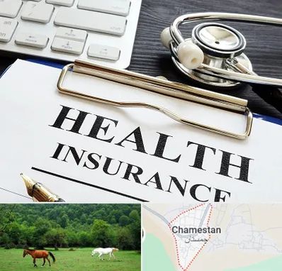 بیمه در چمستان