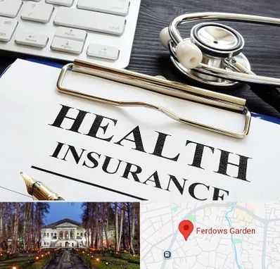 بیمه در باغ فردوس