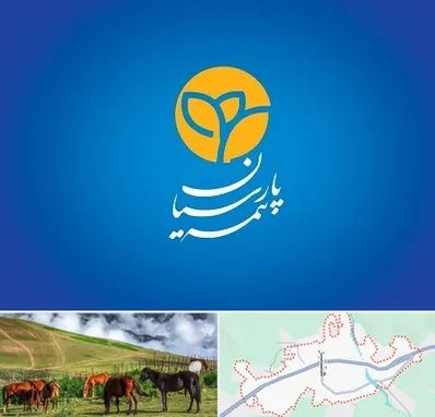 بیمه پارسیان در تالش