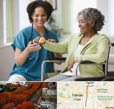 آموزشگاه توانبخشی در ولیعصر 